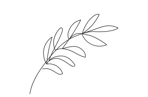 Continuous one line drawing of branch with leaves. Line art. Olive branch. Plant Stock Illustration