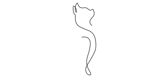 Continuous one line drawing of Cat Stock Footage 143389828