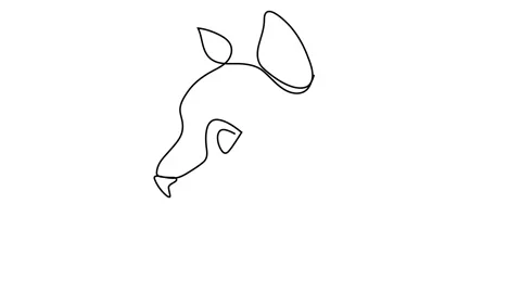 Continuous one line drawing of Cat 스톡 동영상 145888744