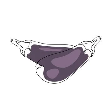 Continuous one line drawing eggplant. Vector illustration. Stock Illustration