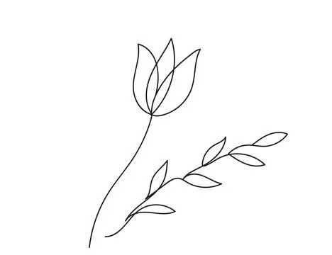 Continuous one line drawing of a flower with leaves. Tulip. Line art. Concept of Stock Illustration