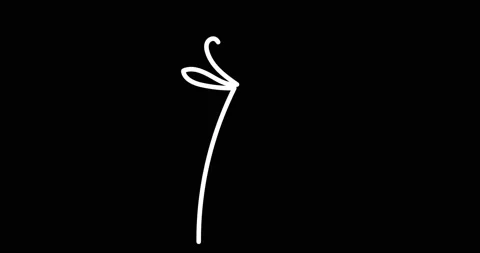 Continuous one line drawing. Flying bird logo. Black and white flower Stock-Footage 170516573