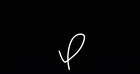 Continuous one line drawing. Flying bird logo. Black and white flower Stock Footage 170517042