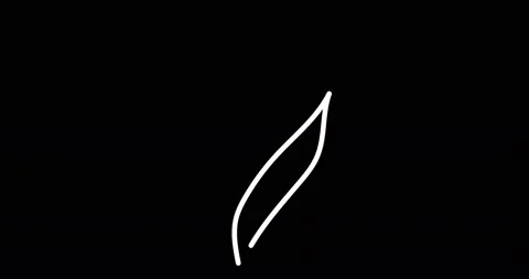 Continuous one line drawing. Flying bird logo. Black and white flower Stock Footage 170517201