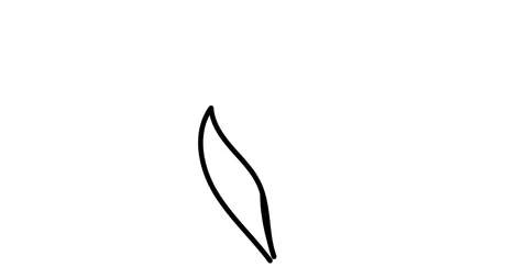 Continuous one line drawing. Flying bird logo. Black and white flower Stock-Footage 170517279