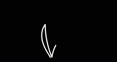 Continuous one line drawing. Flying bird logo. Black and white flower Stock Footage 170517306