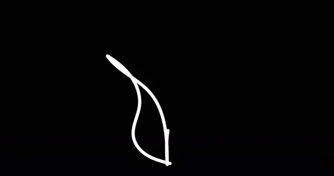 Continuous one line drawing. Flying bird logo. Black and white flower Stock Footage 170517562