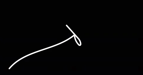 Continuous one line drawing. Flying bird logo. Black and white flower Stock Footage 170517638