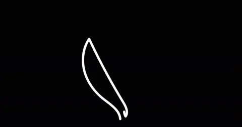 Continuous one line drawing. Flying bird logo. Black and white flower Stock Footage 170517708