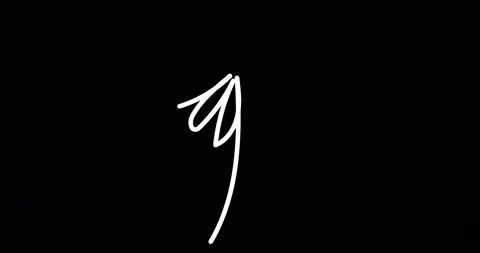Continuous one line drawing. Flying bird logo. Black and white flower Stock Footage 170517740