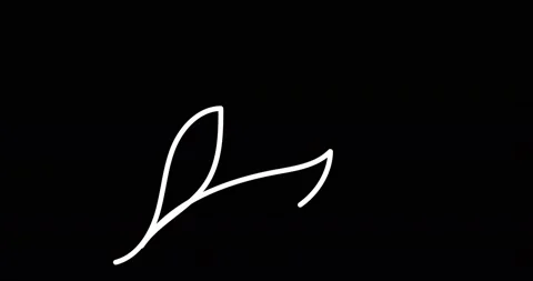 Continuous one line drawing. Flying bird logo. Black and white flower Stock Footage 170518271