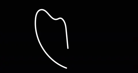 Continuous one line drawing. Flying bird logo. Black and white flower Stock Footage 170518299