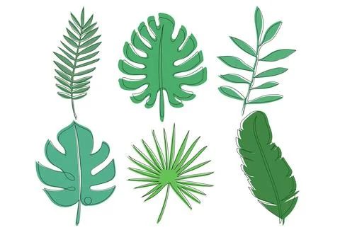 Continuous one line drawing of green tropical leaves. Stock Illustration