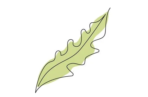 Continuous one line drawing of green leaf isolated on white background. Line  Stock Illustration