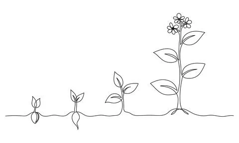 Continuous one line drawing of growing plant stages. Seeds sprouting in the g Stock Illustration