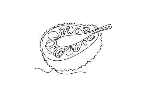 Continuous one line drawing half slice healthy organic jackfruit for orchar.. イラスト素材