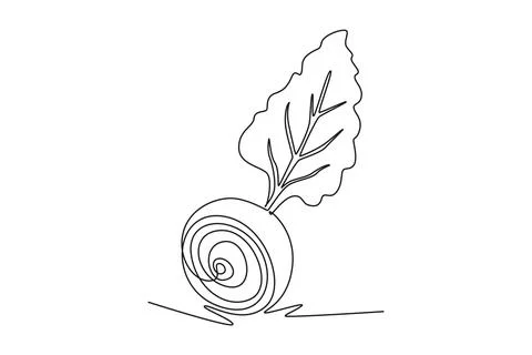 Continuous one line drawing half sliced healthy organic beetroot for planta.. Illustrazione stock