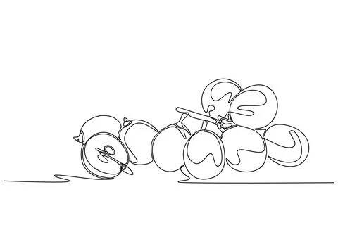 Continuous one line drawing healthy sweet organic grapes for vineyard logo .. イラスト素材