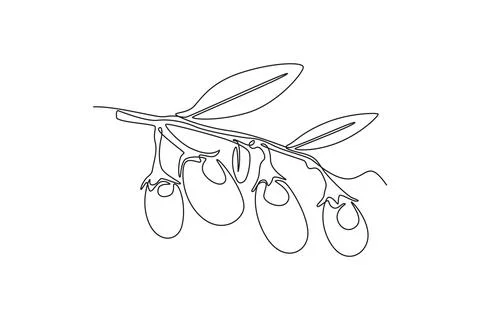 Continuous one line drawing of heap healthy organic goji berries on tree st.. Stock Illustration