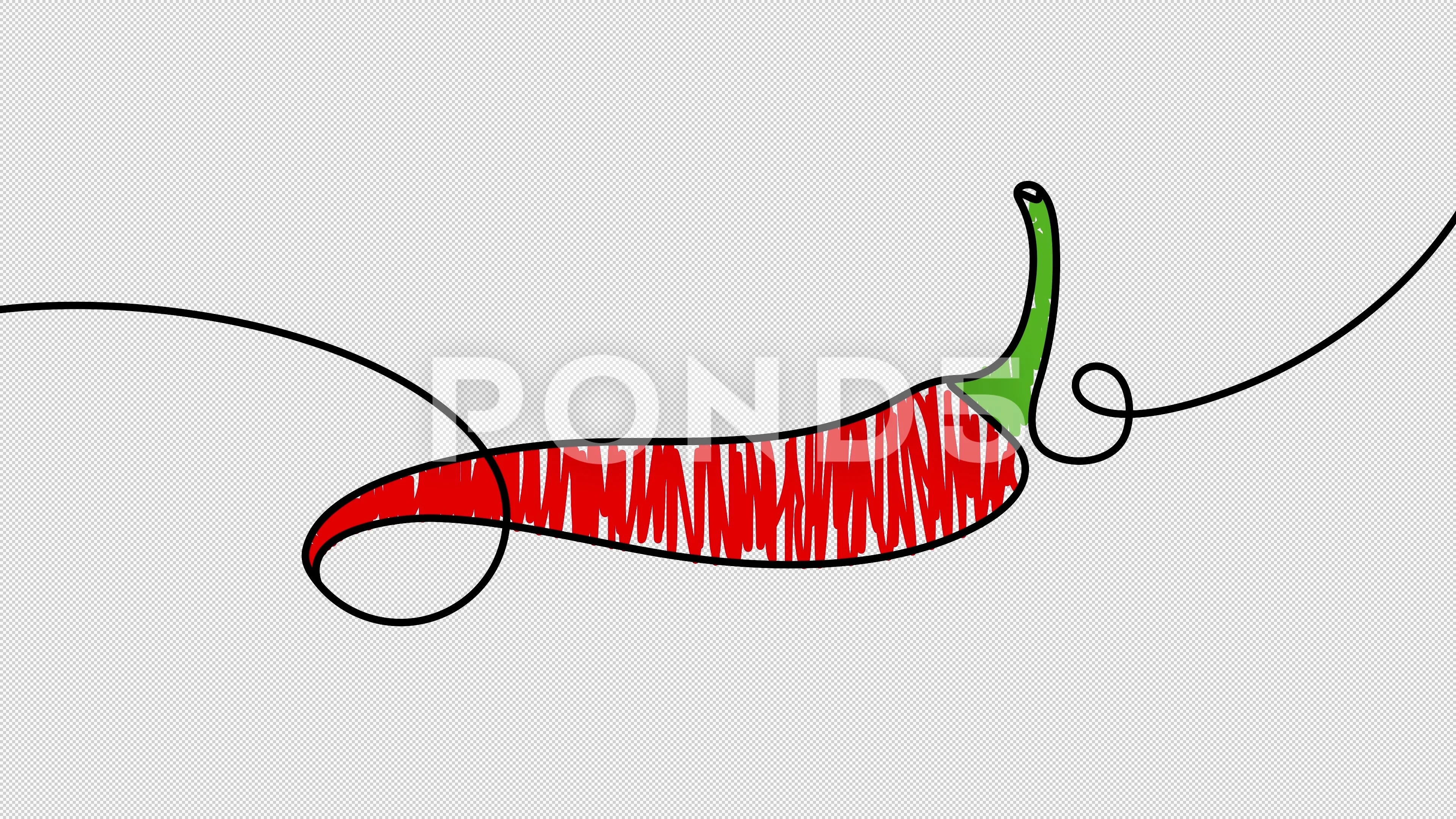 Seamless pattern red chilli pepper. Hand drawing chilli pepper. Vector  illustration chilli pepper. Stock Vector | Adobe Stock