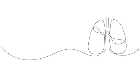 Continuous one line drawing of human lungs. Human organ drawn by single line. Stock Illustration