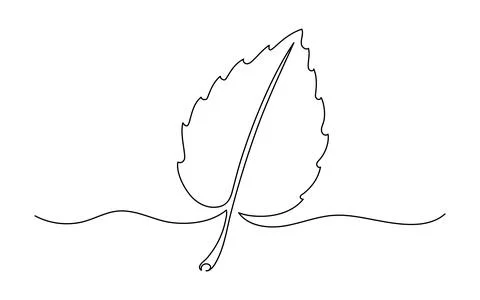 Continuous one line drawing of leaf. Leaf hand drawn sketch. Autumn harvest.. Stock Illustration