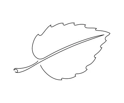 Continuous one line drawing of leaf. Leaf hand drawn sketch. Autumn harvest.  Stock Illustration