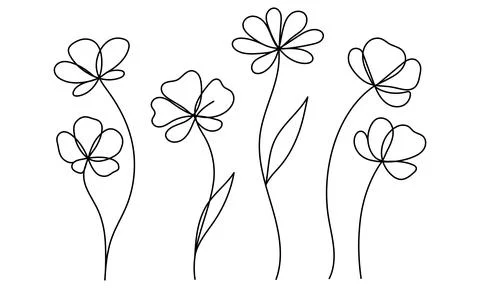 Continuous one line drawing of minimalist wild flowers poppy flower Poppies f Stock Illustration