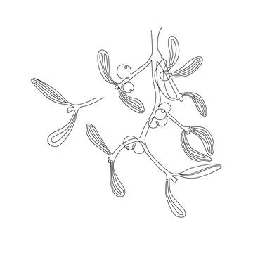 Continuous one line drawing mistletoe branch with berries. Modern one line Stock Illustration