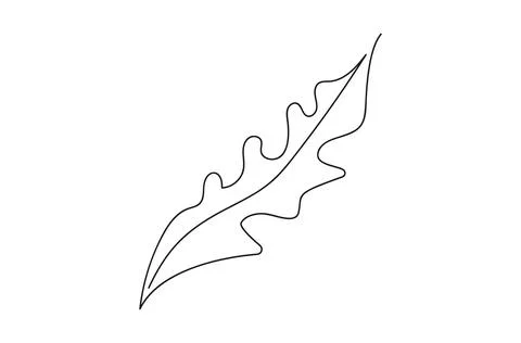 Continuous one line drawing of an oak leaf. Line art. Concept of nature, ecol Stock Illustration