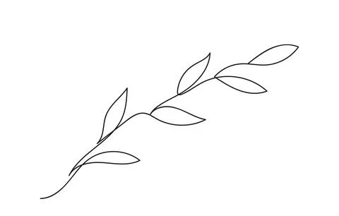 Continuous one line drawing of olive branch. Line art. Branch with leaves. Plant Stock Illustration