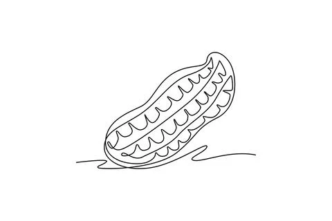 Continuous one line drawing of one whole healthy roasted organic peanut for.. Stock Illustration