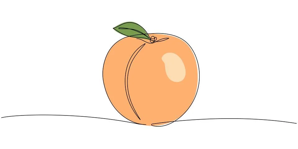 Continuous one line drawing peach. Vector illustration. Black line art on w.. Stock Illustration