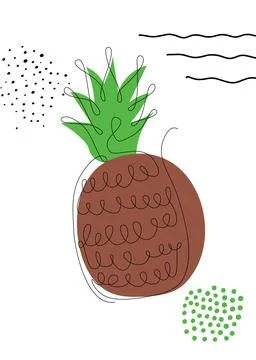 Continuous one line drawing pineapple. Vector illustration. Black line art on Stock Illustration