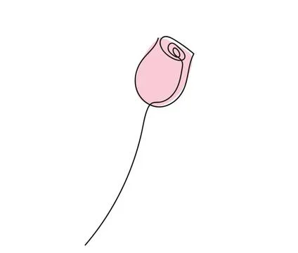 Continuous one line drawing of Pink rose bud isolated on white background. Li Stock Illustration