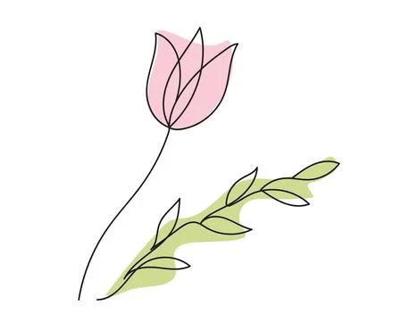 Continuous one line drawing of Pink Tulip flower with Green leaves isolated o Stock Illustration