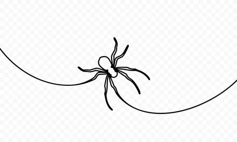 Continuous one line drawing of spider sits on the web vector design Stock Illustration