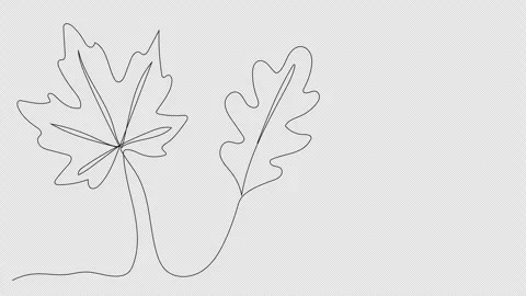 Continuous one line drawing on the theme of autumn featuring fall leaves Stock Footage 311180107