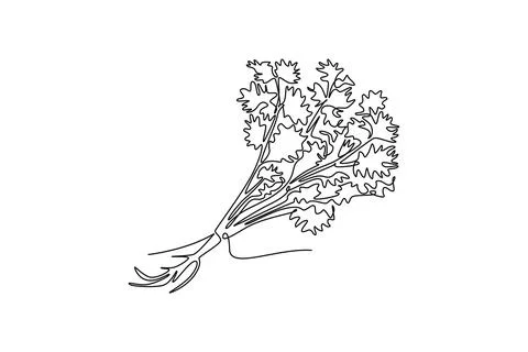 Continuous one line drawing of tied bunch healthy freshness organic raw cor.. イラスト素材