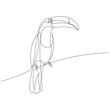Continuous one line drawing of Toucan bird. 스톡 일러스트