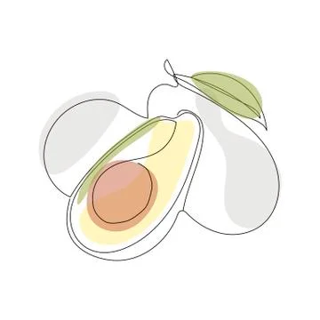 Continuous one line drawing. Vegetables three avocado. Vector illustration Stock Illustration