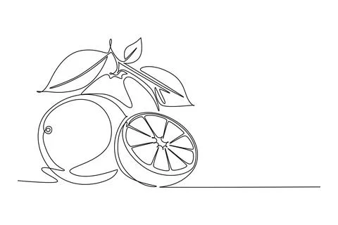 Continuous one line drawing of whole and sliced healthy organic orange for .. Stock Illustration