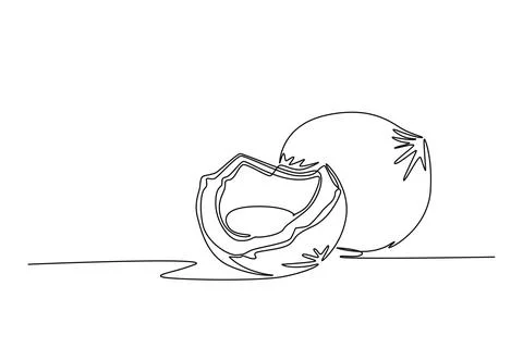Continuous one line drawing whole and sliced healthy sweet organic coconut .. Stock-Illustration