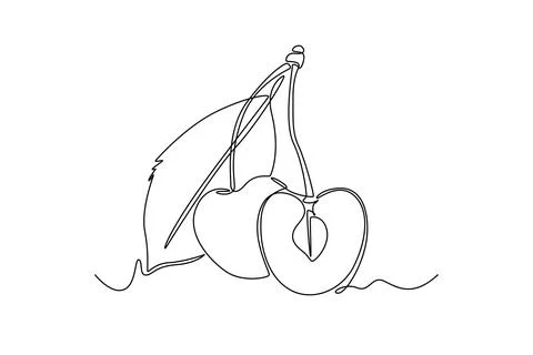Continuous one line drawing whole and sliced healthy sweet organic cherries.. Ilustração Stock