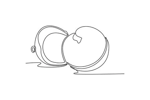 Continuous one line drawing whole and sliced healthy sweet organic longan f.. Stock-Illustration