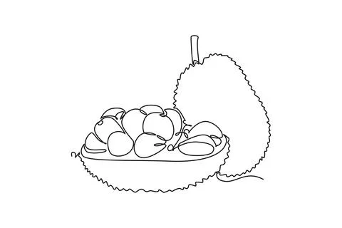 Continuous one line drawing whole and peeled healthy organic jackfruit for .. Ilustración de archivo