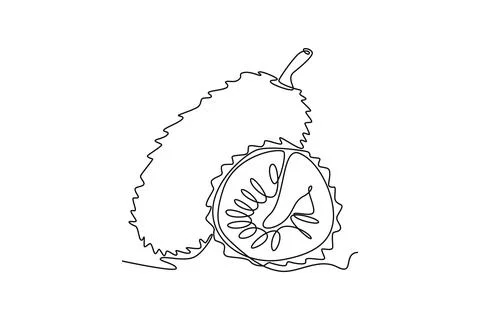 Continuous one line drawing whole and sliced healthy sweet organic soursop .. Stock Illustration