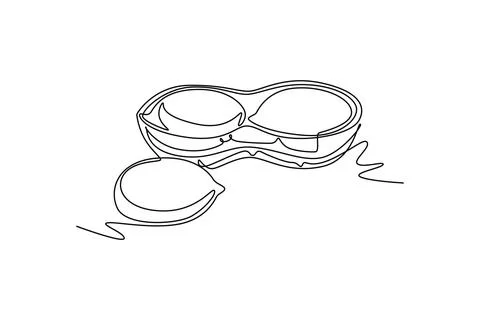 Continuous one line drawing whole and peeled healthy organic peanut for far.. Illustrazione stock