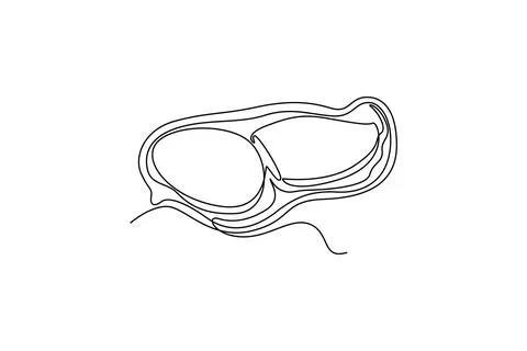 Continuous one line drawing of whole healthy organic roasted peanut for far.. Stock Illustration