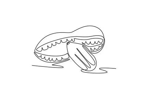 Continuous one line drawing whole and peeled healthy organic peanut for sna.. Stock Illustration
